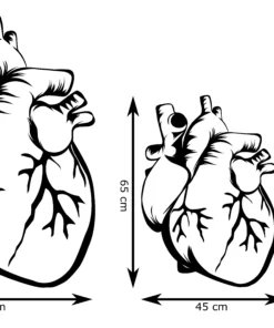 Menselijk hart Wanddecoratie - Afbeelding 3