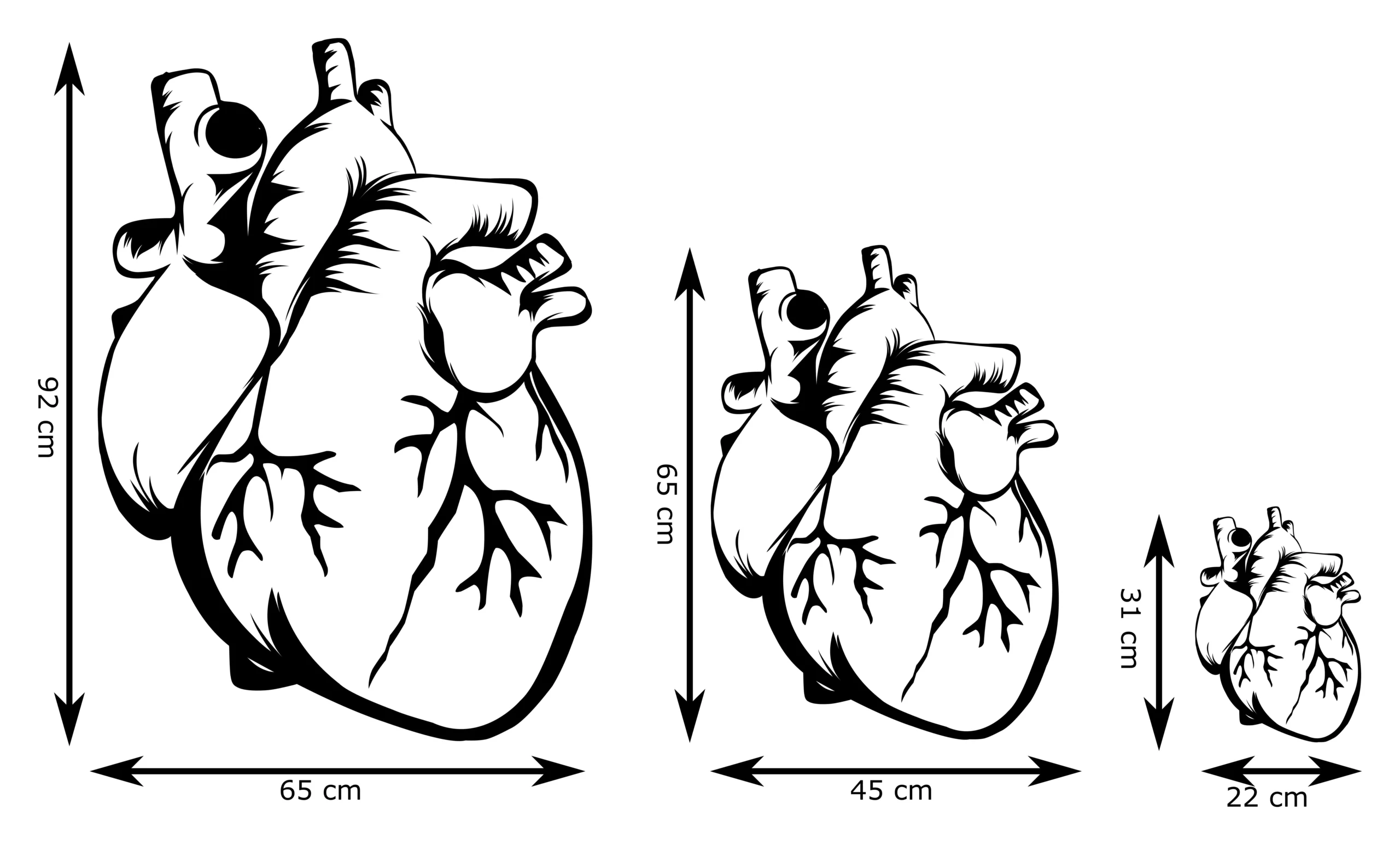 Menselijk hart Wanddecoratie - Afbeelding 3